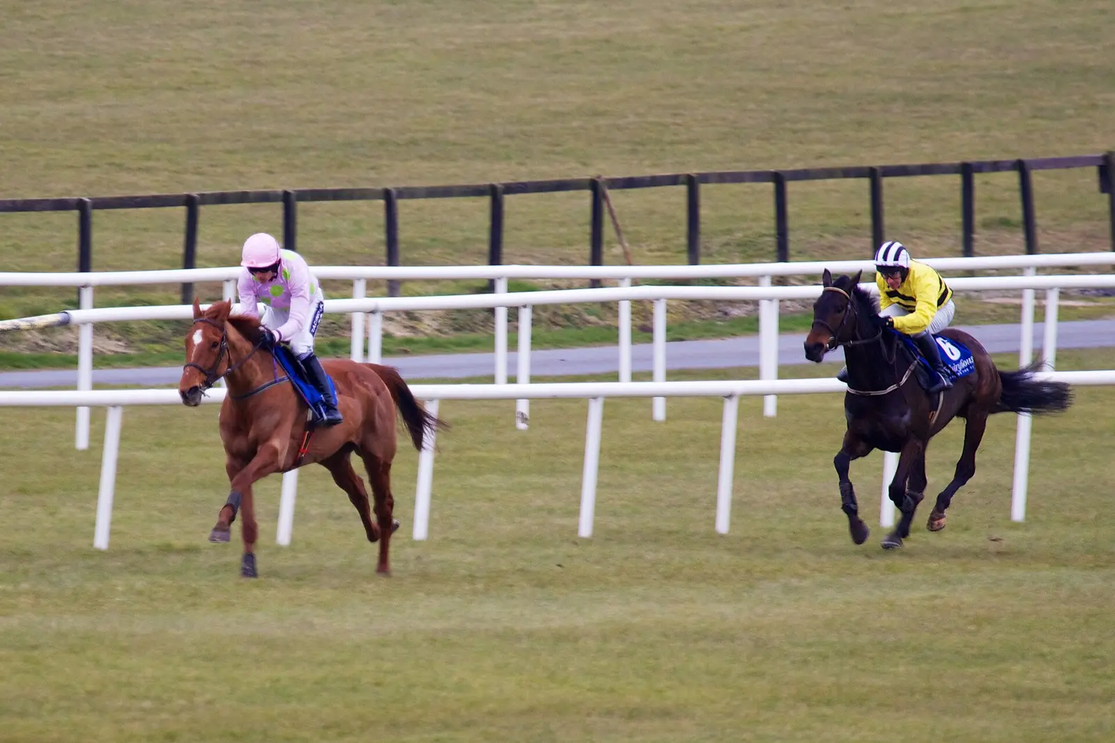 Two horses and jockeys racing alongside white rails at Fairyhouse Racecourse