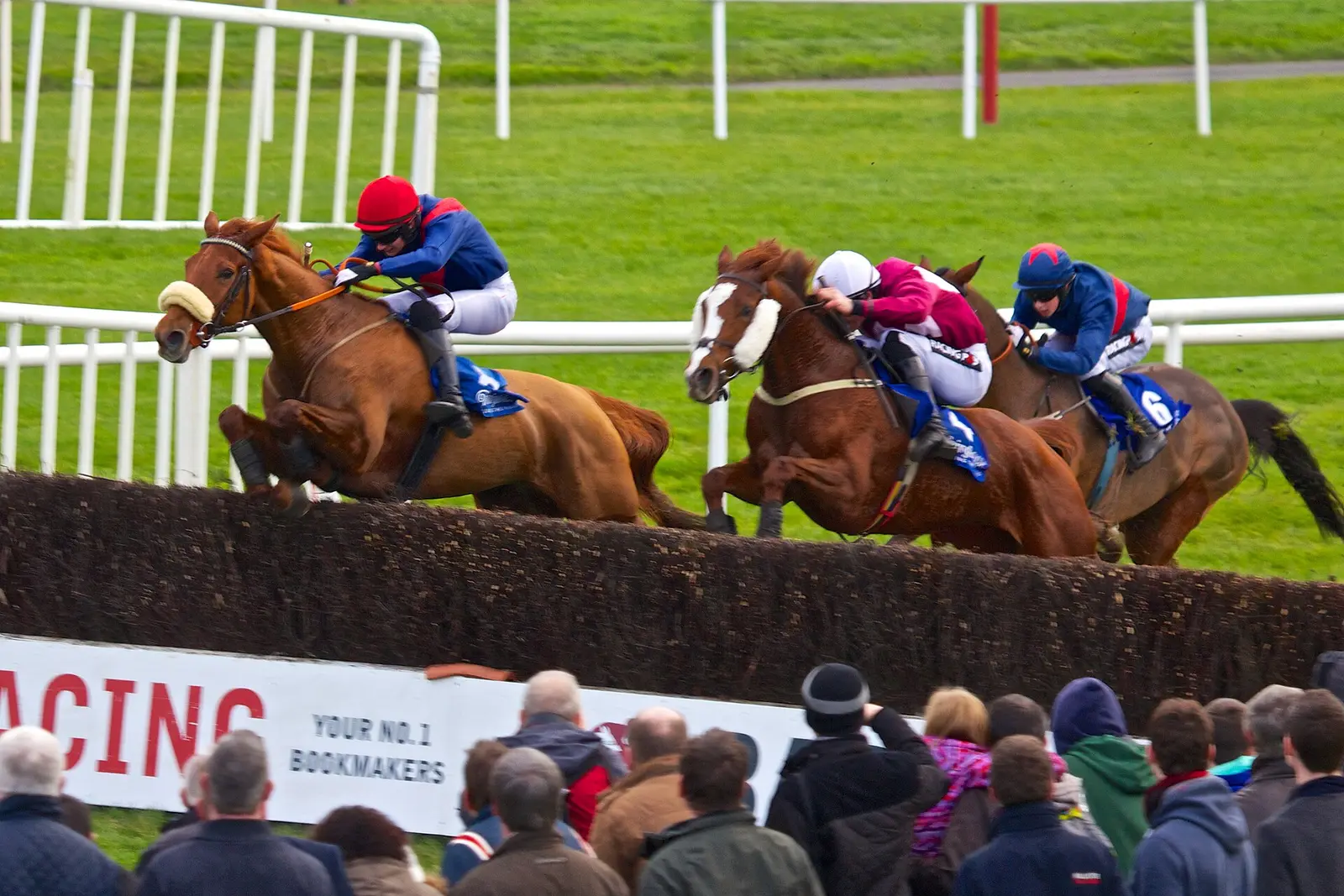 Three horses and jockeys jumping a fence at Fairyhouse Racecourse