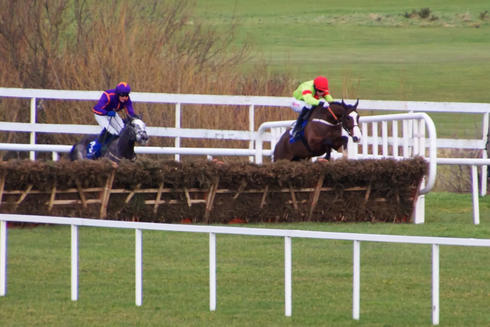 Hurdlers jump a flight of hurdles in a Grade I race at Leopardstown in February 2013